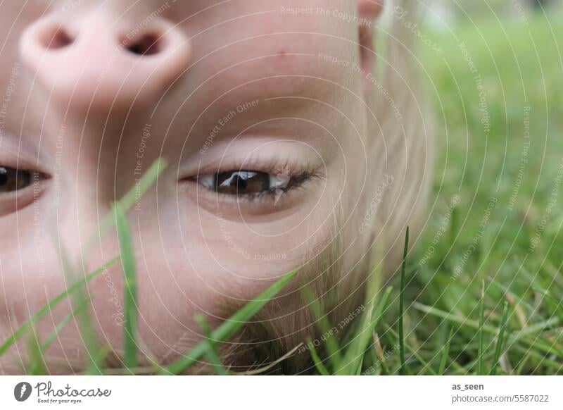 upside down Boy (child) Blonde Brash fun Infancy Hang Swing Grass Spring Summer Garden brown eyes Perspective creatively unconventional Head Child Joy Playing