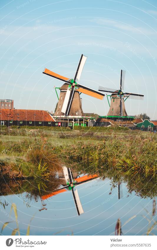 Popular tourist spot Zaanse Schans is near Amsterdam in the west of the Netherlands. Historical, realistic windmills during sunrise. Holland's landmark