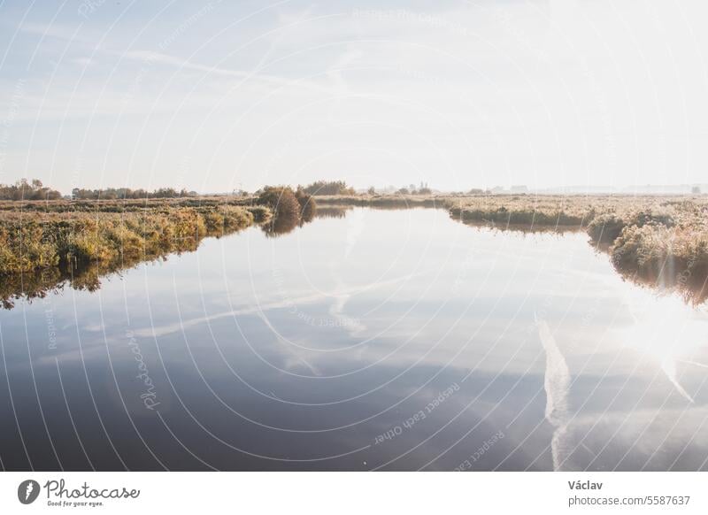 Nature reserve near the historic village of Zaandam Schans in the west of the Netherlands near the city of Amsterdam zaandam schans sunrise amsterdam