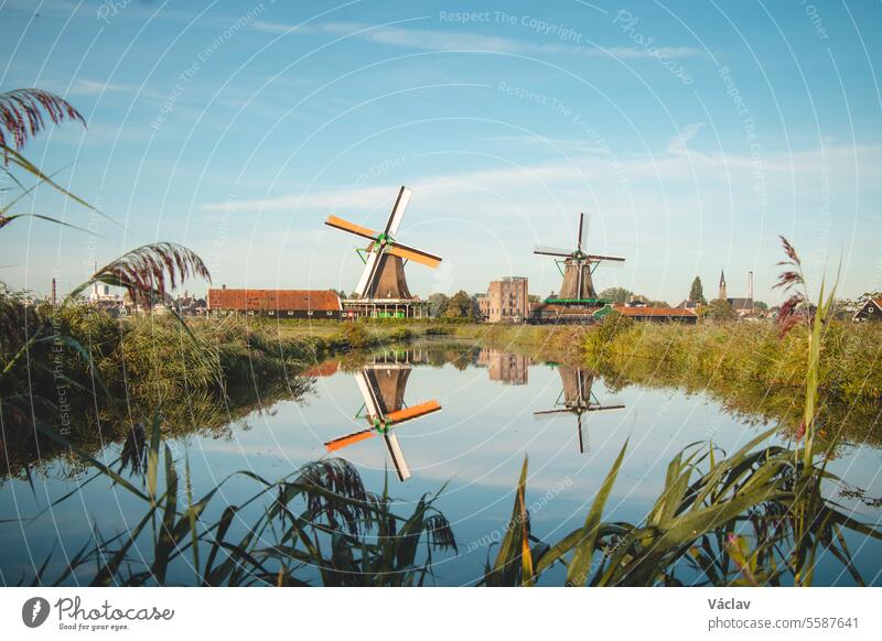 Popular tourist spot Zaanse Schans is near Amsterdam in the west of the Netherlands. Historical, realistic windmills during sunrise. Holland's landmark