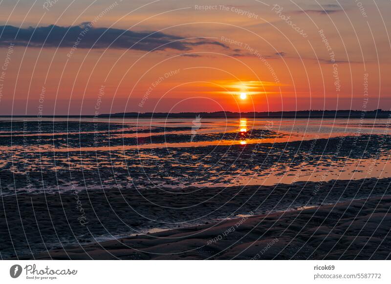 Sunrise in the Wadden Sea on the island of Amrum watt Mud flats Tideway northern village Schleswig-Holstein Island coast Slick Sand North Frisian Island