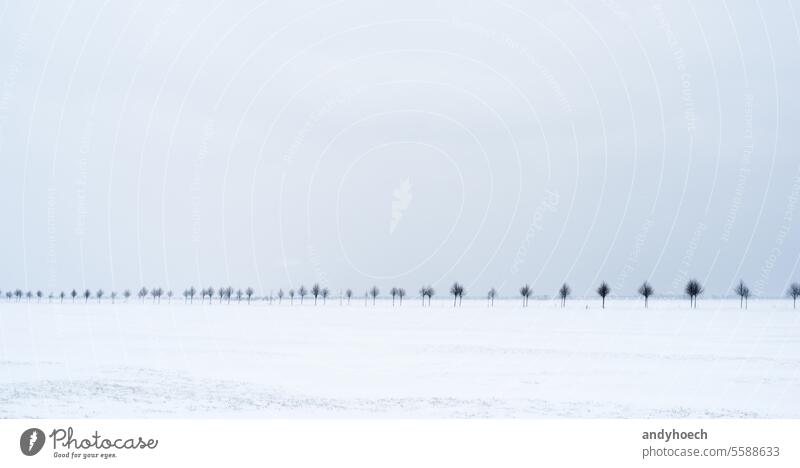 Field in winter in snowfall with country road beautiful blizzard blue cloud cold copy space countryside day environment europe field fog frost frosty frozen