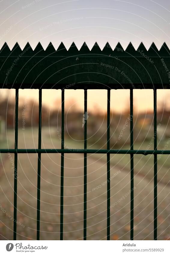 Wet fence with spikes at sunrise Fence demarcation Dismissive Border Safety Barrier Protection Metal Prongs sharpen Sunrise Sunset Captured blurred