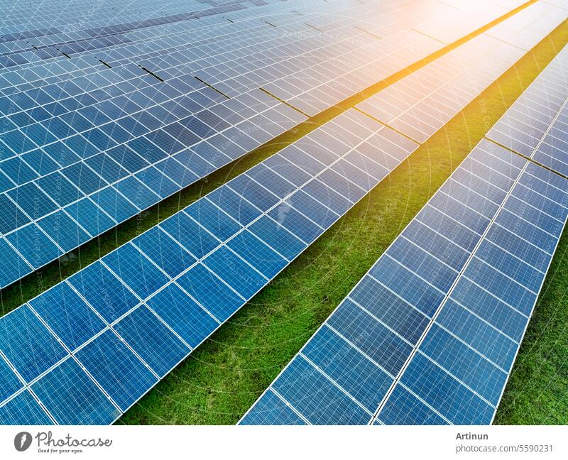 Solar farm and sun light. Solar power for green energy. Sustainable renewable energy. Photovoltaic power station or solar park. Solar panel installation and maintenance concept. Energy sustainability.