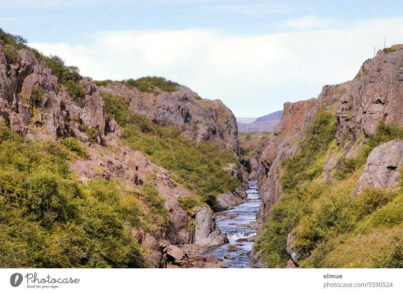 Bruarhylur Gorge in Iceland Brúarhylur Canyon stone watercourse Riverbed canyon Mountain Rock Lava Lava rock Hiking outdoor outdoor experience