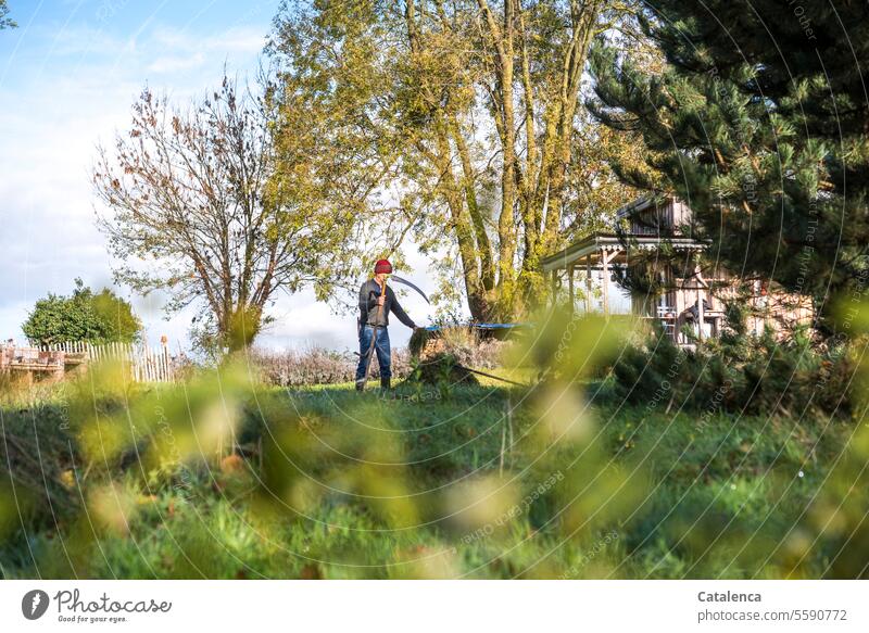 gardening Nature Garden Meadow trees Man scythe Scythe Grass Environment Plant Sky Beautiful weather Landscape Day daylight Green Blue