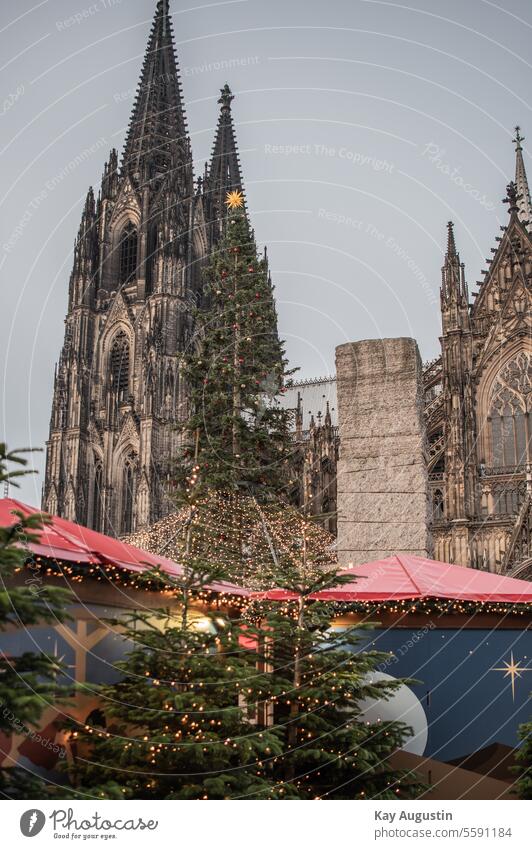 Time of lights on Roncalli Square Cologne Cologne Cathedral Tourist Attraction Landmark Exterior shot Germany Manmade structures Building Church Architecture