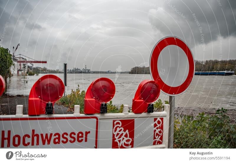 Watch out for flooding on the banks of the Rhine Attention floods Flood Rhine landscape Exterior shot Tree Nature River Water Colour photo River bank Deluge