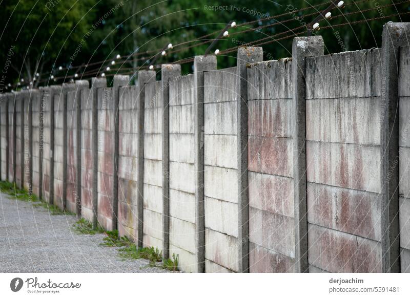 German German history.  Wall with barbed wire in Dachau. Wall (barrier) Exterior shot The Wall Day Colour photo Past Wall (building) Historic Deserted