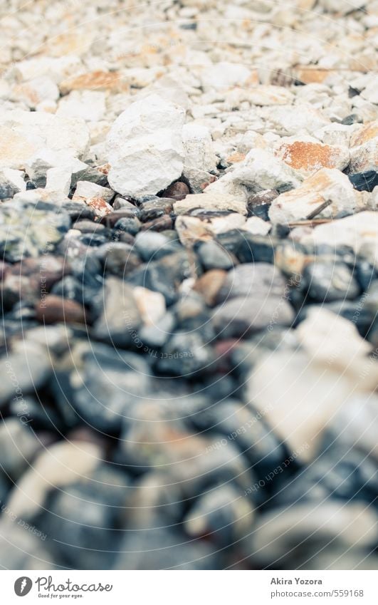 chalk vs stone Environment Coast Lakeside Baltic Sea Touch Lie Natural Gray Orange Black White Nature Chalk Stone Cap Arcona Colour photo Exterior shot Detail