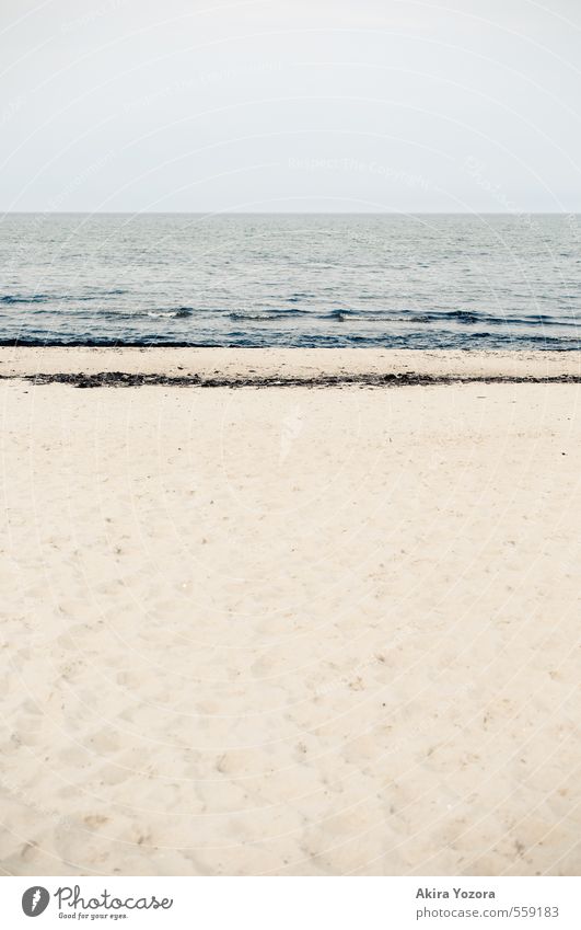 beach Nature Landscape Water Sky Coast Lakeside Beach Relaxation Wet Natural Blue Yellow Calm Leisure and hobbies Idyll Colour photo Exterior shot Detail