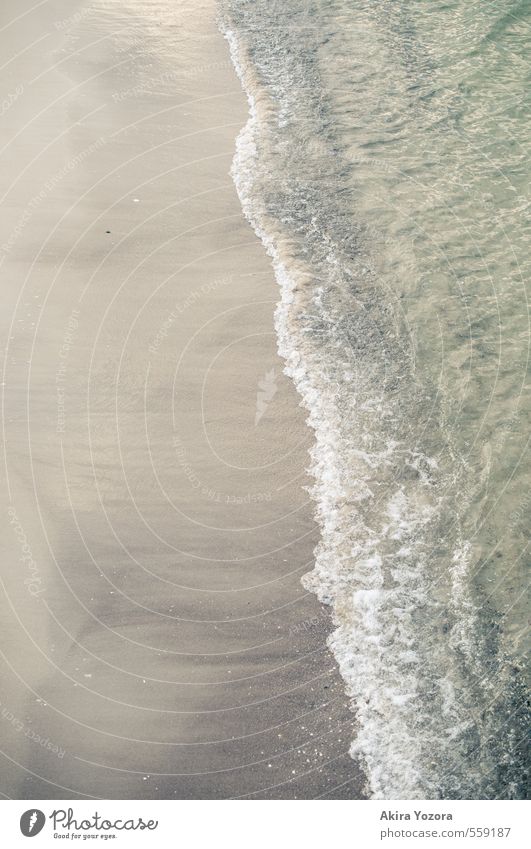 shaft Beach Sand Ocean Water Waves Wet Nature Natural Vacation & Travel Relaxation Calm