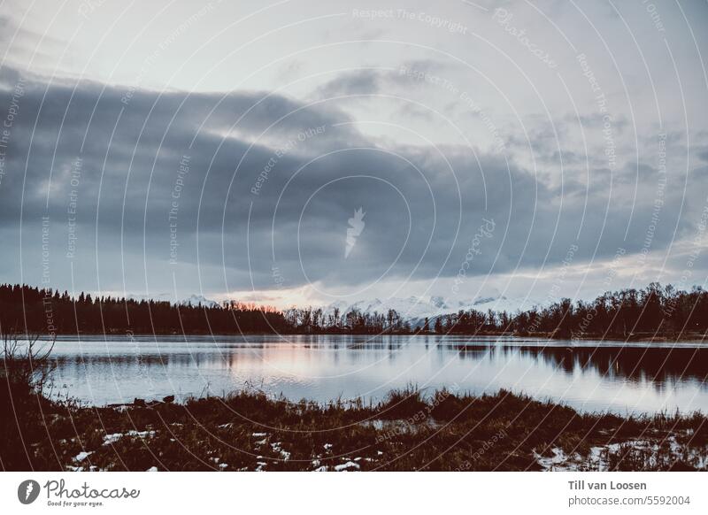 I see a lake with dramatic clouds and trees reflected in the water Lake Water Nature Sunset Exterior shot Calm Reflection Deserted Surface of water Landscape