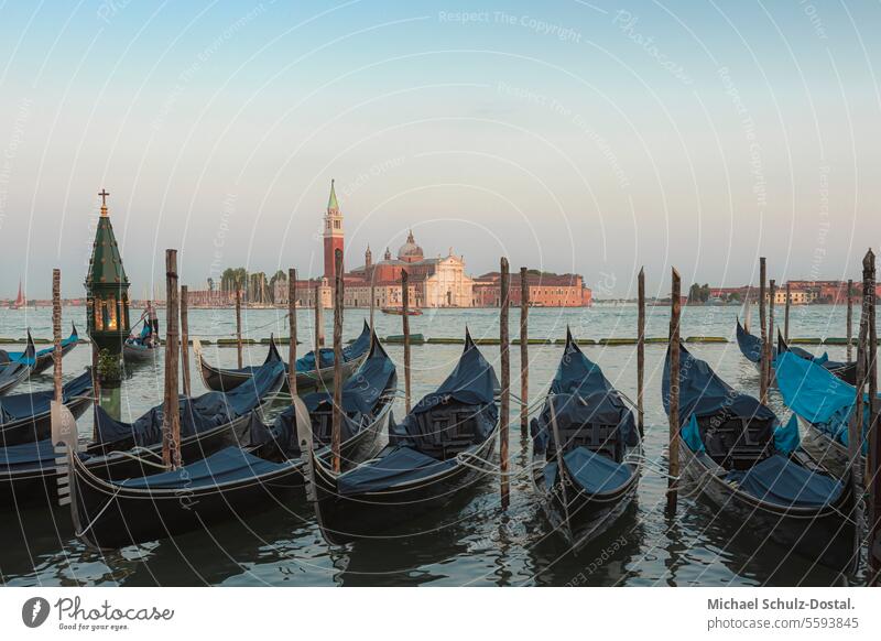 Gondolas on St. Mark's Square in Venice at dusk pastel Colour variegated houses Water Harbour Lagoon Twilight Evening gondola palazzi sunset Sunset colour