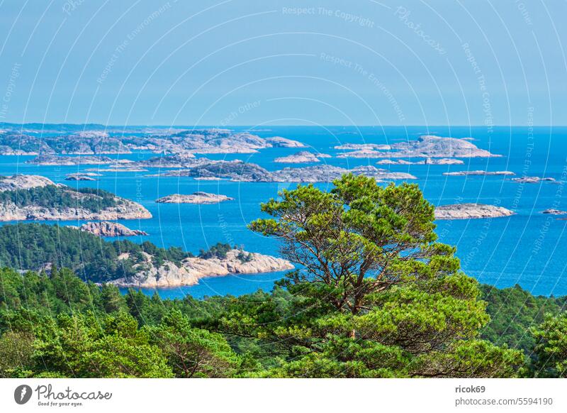 Landscape on the Riveneset peninsula in Norway Ocean coast North Sea Skagerrak Peninsula archipelago archipelago garden archipelago island Rock Summer Water