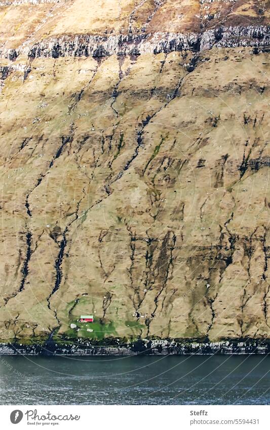 a small cottage on the Faroe Islands färöer Atlantic North Atlantic Atlantic Ocean Sheep Islands House (Residential Structure) Steep basaltic Atlantic island