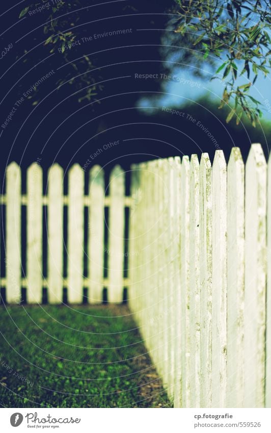 Idyll with fence Plant Summer Beautiful weather Tree Garden Fence Warmth Green Day Shallow depth of field