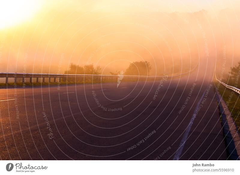 dense early morning fog in wold at summer highway near river with guard rails mist roadway rural danger tree landscape callow green forest unknown sunrise