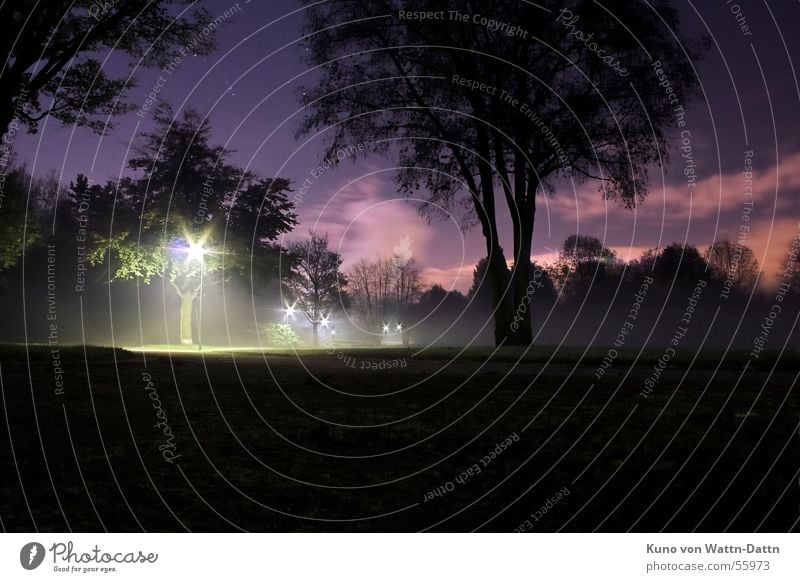 NightVision, at night in the Bottrop Volkspark Long exposure Night shot Clouds Park Dark Tree Sky Star (Symbol) orion