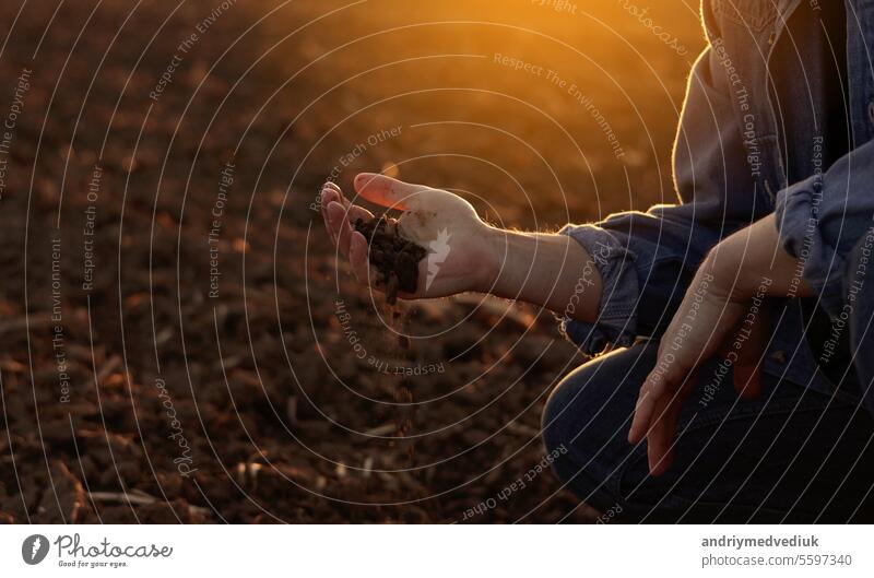 Male farmer's hand holds a handful of dry ground and checks soil fertility and quality before sowing crops on plowed field at sunset. Cultivated land. Concept of organic agriculture and agribusiness