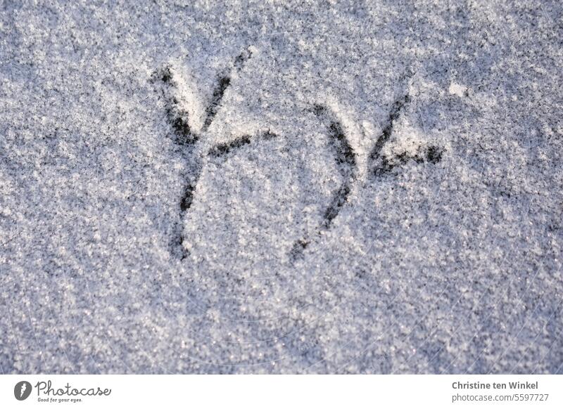 leave traces bird tracks Bird's claws Tracks Winter Cold Snow Lanes & trails Exterior shot White Snow layer Nature Day Wild bird Monochrome Wild animal