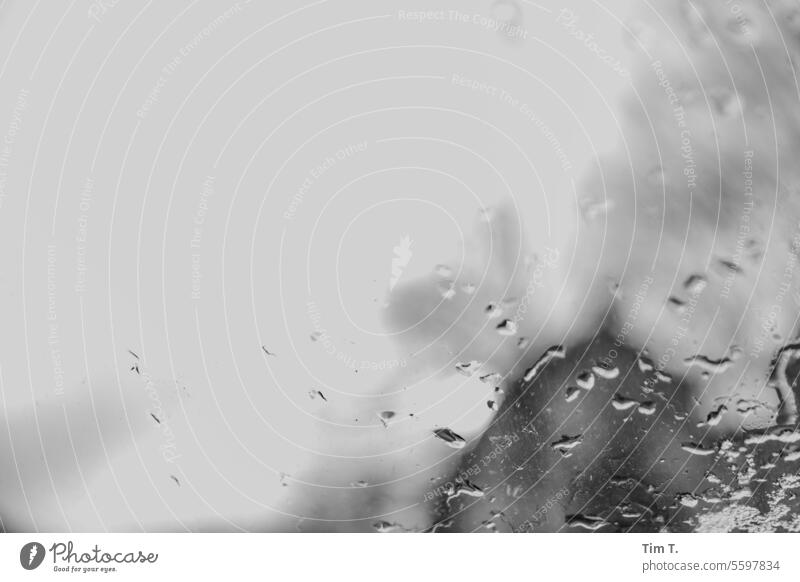 Winter window b/w Window Glass Wet Drop Black & white photo Deserted Day B/W