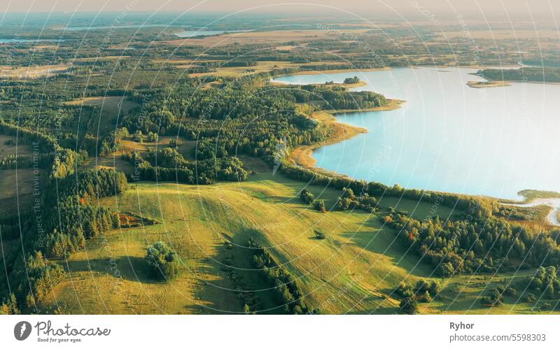 4K Aerial View Of Lake And Green Forest Landscape In Sunny Summer Evening. Top View Of Beautiful European Nature, Bird's Eye View sunny water landscape tranquil