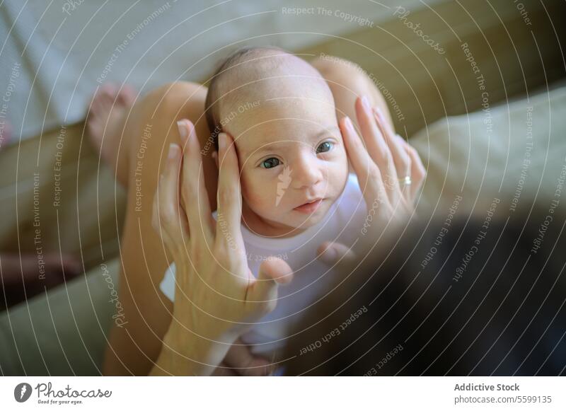 Mother caressing infant on sofa mother baby living room love tender talk childcare home woman newborn babyhood touch cute maternal stroke parenthood motherhood