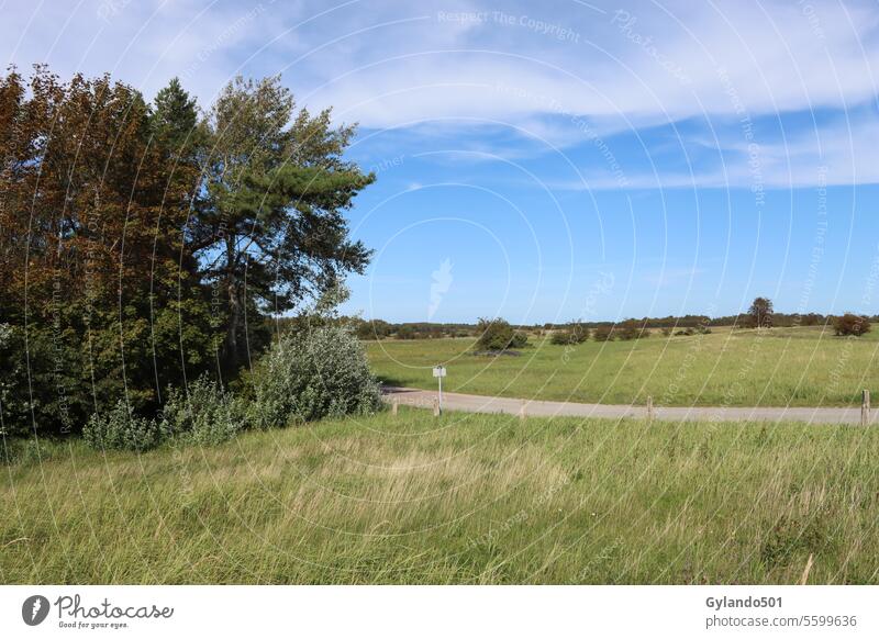 View over fields and meadows on the island Hiddensee in the Baltic Sea conservation ecology farming grassland blue sky agriculture background baltic sea