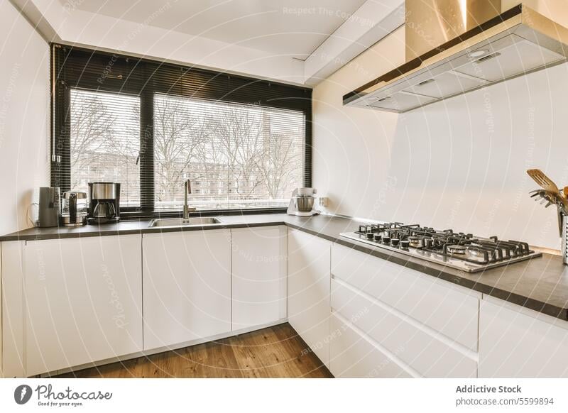 Interior of kitchen with appliances and cabinets by window stove rangehood sink faucet coffeemaker blender large white spacious contemporary cupboard style