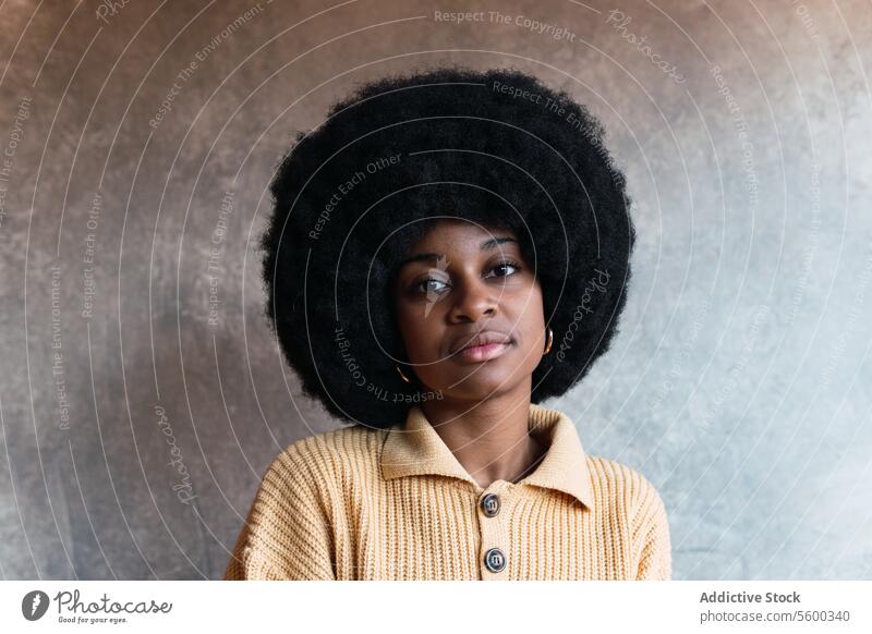 Black woman with Afro hairstyle portrait afro appearance individuality personality brown eyes curly hair female black african american young glad optimist