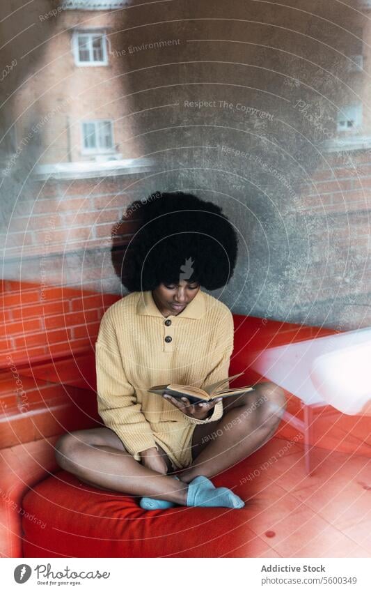 Black woman reading book on sofa couch home literature free time comfort relax female black african american afro attentive hobby young concentrate novel rest