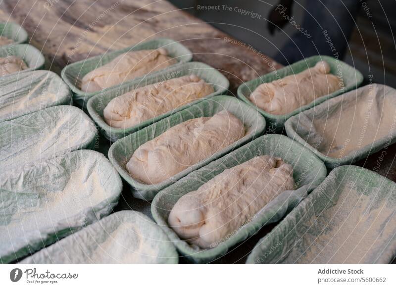 Portrait of several bread doughs on mold bakehouse bakery wheat oven flour hot factory production food fresh tasty industry preparing workplace pastry equipment