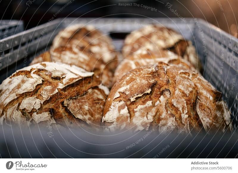 Lots of bread in a basket food bakery background tasty traditional fresh meal delicious wheat white brown grains crust breakfast baked loaf assortment flour