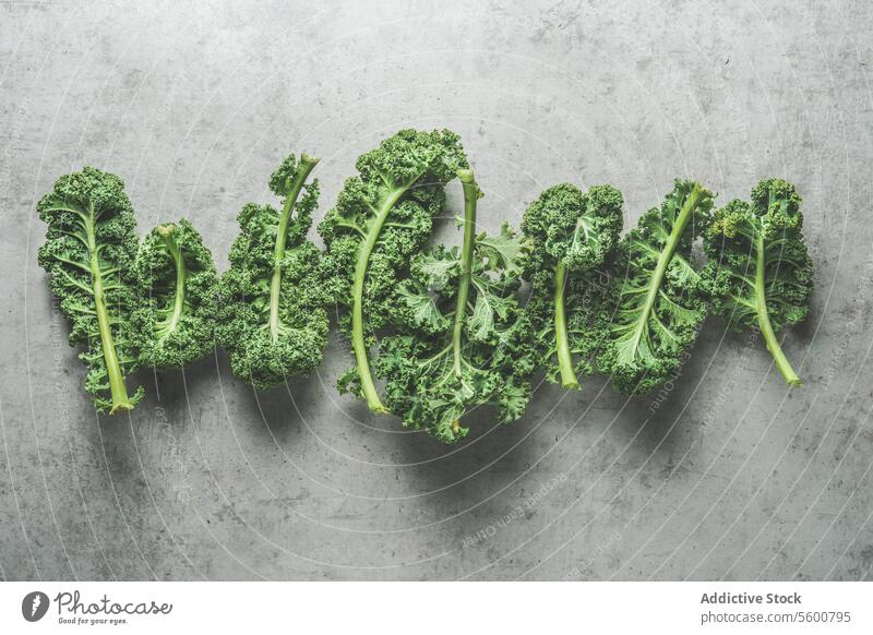 Green raw kale leaves in line on grey concrete kitchen table. Healthy seasonal winter vegetable. Cooking with fresh ingredients. Modern food background. Top view.