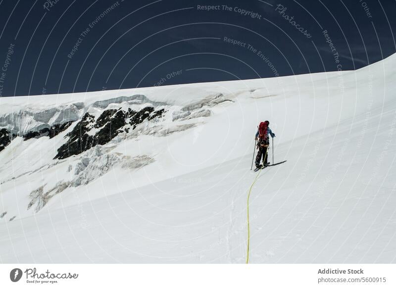 Back view of anonymous man hiking snowcapped mountain against blue sky at Swiss Alps on sunny day backpacker ski pole walk hiker swiss alps back view cold sport