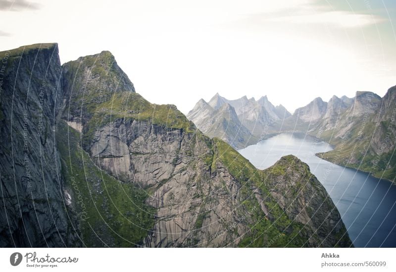 mountains Vacation & Travel Trip Adventure Far-off places Freedom Nature Landscape Mountain Peak Fjord Lake Esthetic Authentic Gigantic Above Strong Wild Blue