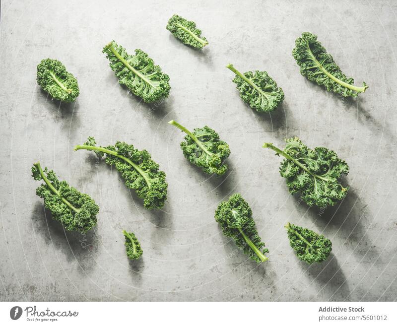 Kale pattern with raw green leaves at grey concrete kitchen table with sunlight. Healthy seasonal winter vegetable. Top view. kale kale leaves healthy cabbage