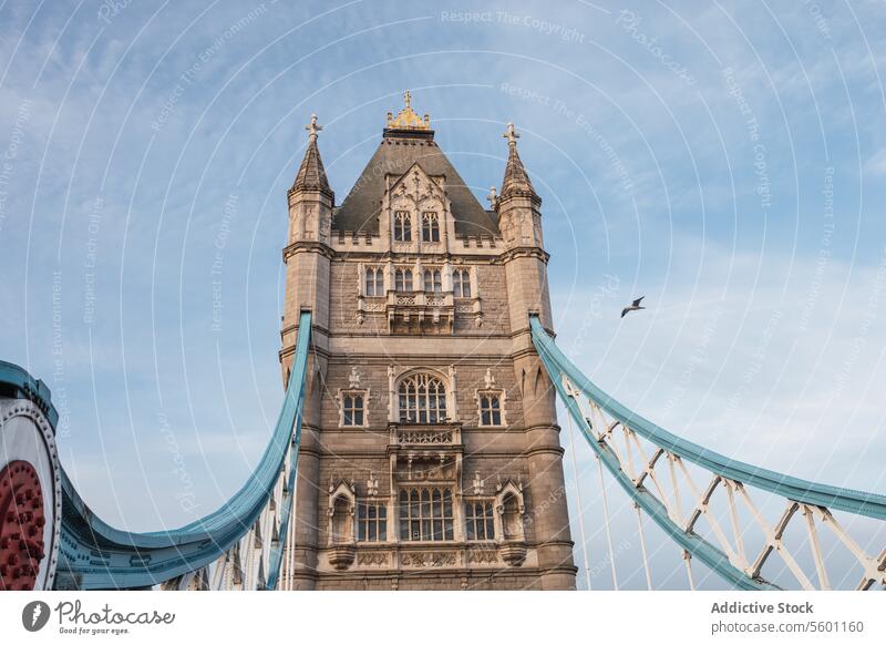 Tower Bridge close-up view with blue skies in London london tower bridge architecture landmark blue sky clear bird flying travel tourism iconic england uk