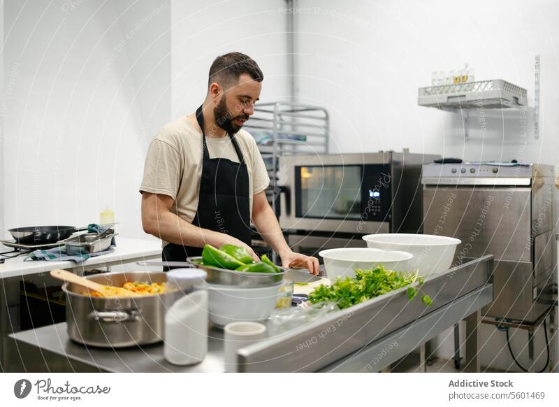 Young chef cutting peppers cook cooking kitchen food professional restaurant vegetables knife man young work male dish cuisine person job preparation meal