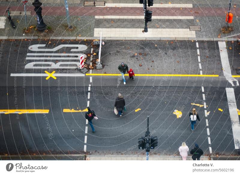 Bird's eye view of pedestrian crossing and pedestrians Street Intersection Pedestrian crossing persons Bird's-eye view bus lane lettering yellow cross