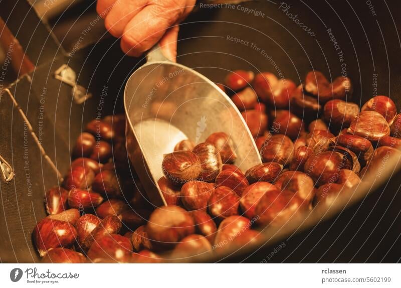 Hand scoops chestnuts at a Christmas market metal scoop seasonal edible shell crust bake brown cracked heap hot nutty october christmas maroni roasted german