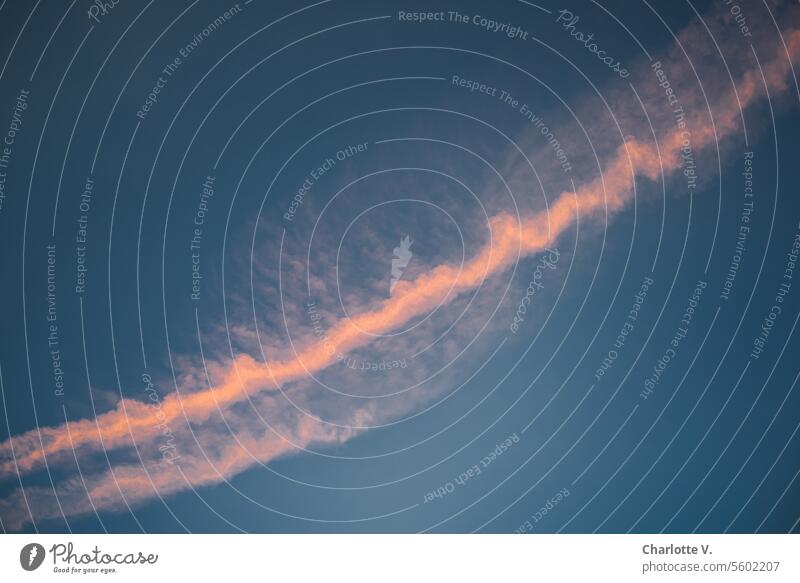 Contrails in the evening light Condent strips Sky Cloudless sky Nature Environment Evening chemtrail Colour photo air traffic Beautiful weather Exterior shot