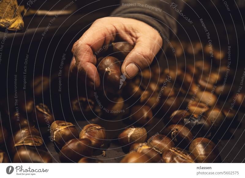 Hand picking roasted chestnuts from a hot tray at a Christmas market advent crust german raw traditional christmas market sweet hand cooking delicacy snack warm