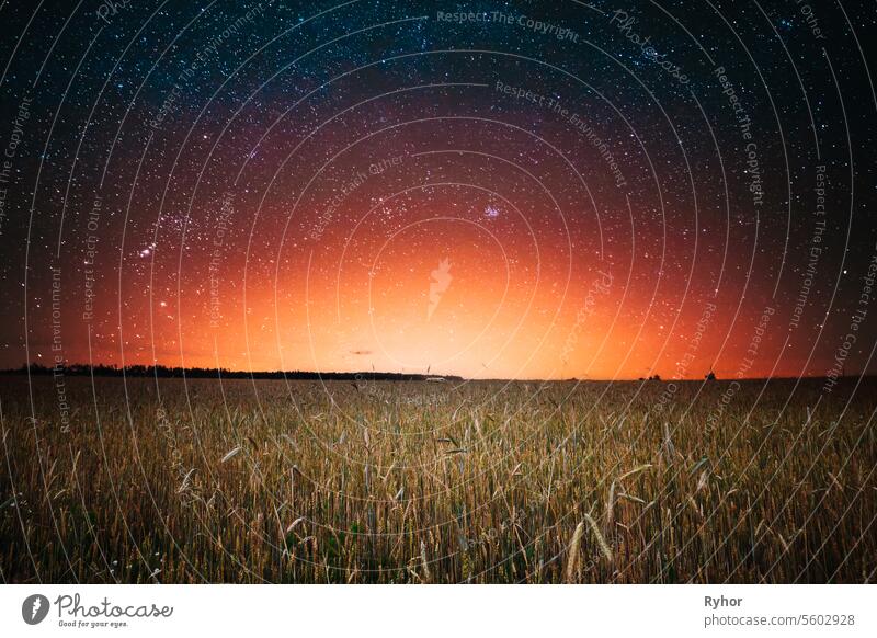 Summer Sunset Evening Above Countryside Rural Wheat Field Landscape. Scenic Dramatic Sky With Rain Clouds On Horizon rural cloudy outdoor nature nobody