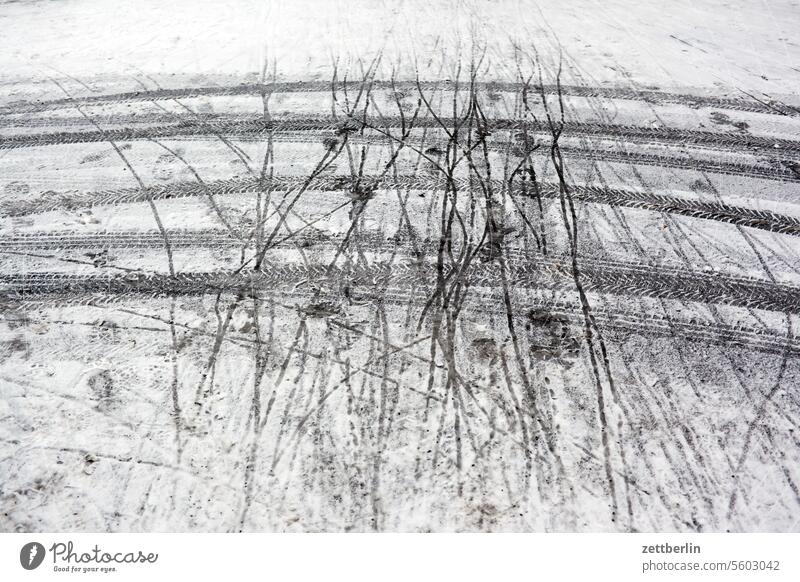 Tracks in the snow on the outside Frost frost heave Backyard Courtyard Interior courtyard downtown Cold Kiez chill Deserted apartment building neighbourhood