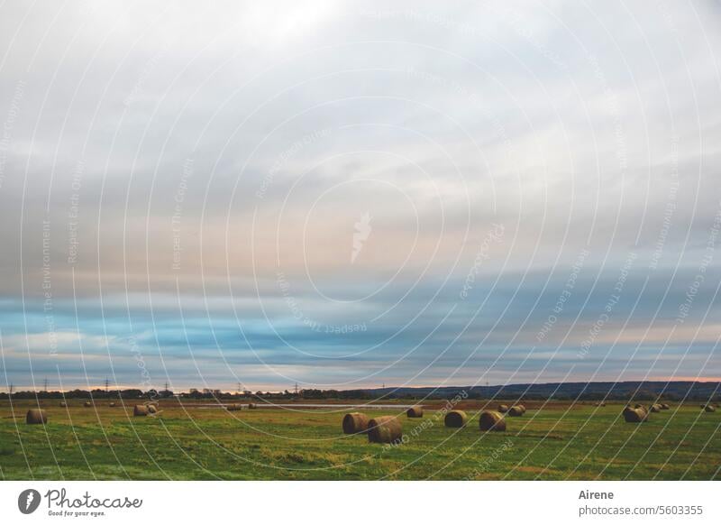 Autumn time | when the sky meets the land Bale of straw Sky Clouds morning mood just Straw Horizon Country life Hay Flat Plain agriculturally Agriculture Rural