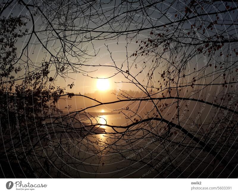 winter morning Sunrise Sunlight Light (Natural Phenomenon) Reflection Silhouette Contrast Shadow Twilight Deserted Detail Close-up Exterior shot Multicoloured