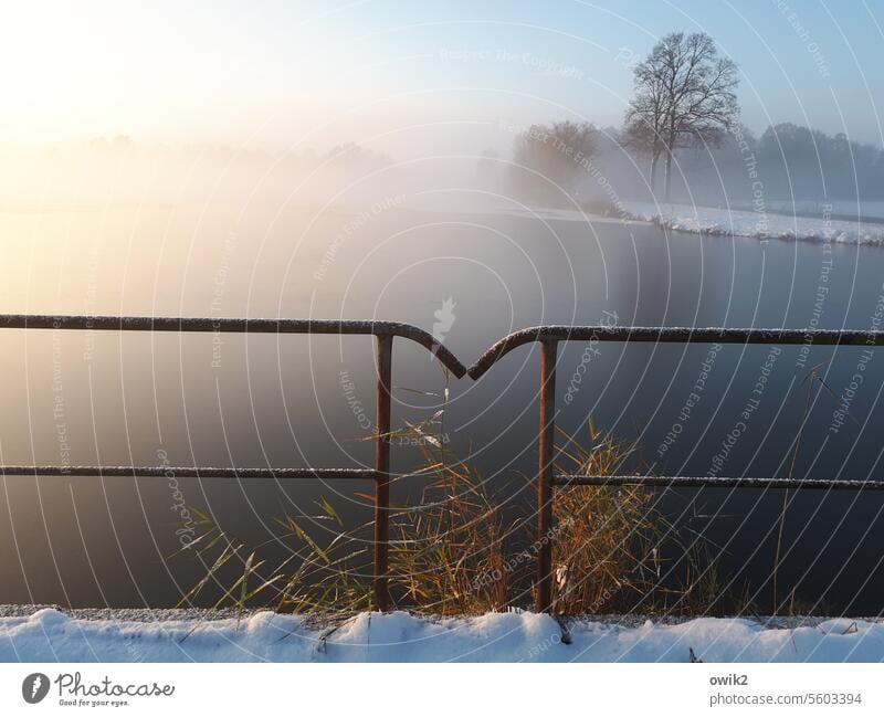 hand in hand Lake Lakeside Environment Landscape Nature Air Idyll Far-off places Sunlight Beautiful weather Cloudless sky rail Metal Protection Safety Long shot