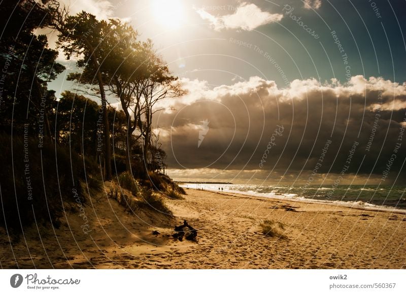 coastal strip Far-off places Freedom Hiking Human being Couple 2 Environment Nature Landscape Plant Water Sky Storm clouds Horizon Climate Beautiful weather